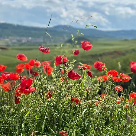 Lägenhet Ruf Sasbach am Kaiserstuhl